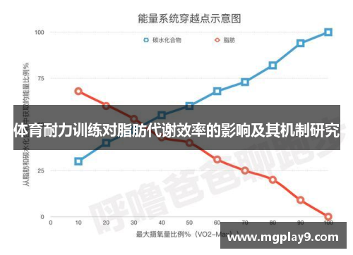 体育耐力训练对脂肪代谢效率的影响及其机制研究