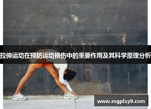 拉伸运动在预防运动损伤中的重要作用及其科学原理分析